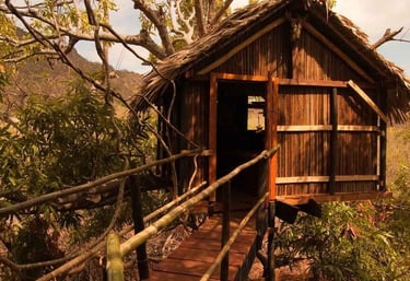 cabanes dans les arbres