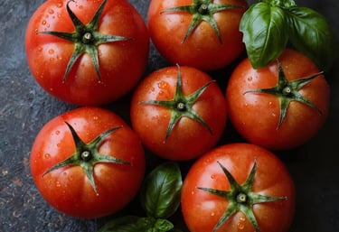 A flat lay of fresh, ripe tomatoes on a rustic dark surface, with natural light coming from the side and a sprig of forest green basil.
