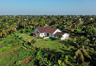 A lush, green aerial view of a premium farmhouse plot near Chennai. The landscape is well-maintained with palm trees and a clear blue sky, suggesting peace and high-value land investment.