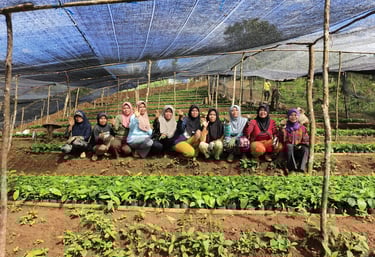 a group of people standing in a field with pumpkins