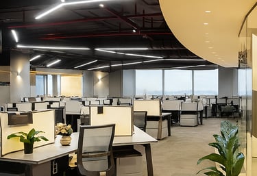 Open space, bureaux, éclairage, plante