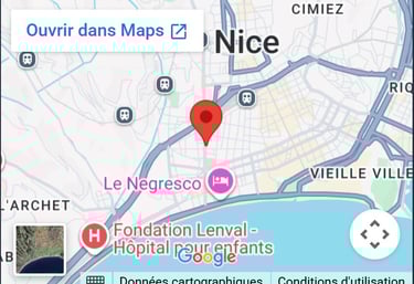 carte google map 40 Bd Gambetta 06000 Nice