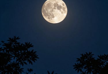 Hands gently holding a glowing orb, representing spiritual guidance and healing.