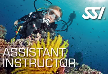 Taucher über einer gelben Koralle