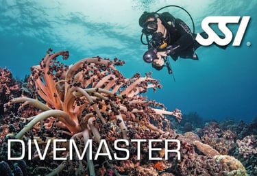 SSI Divemater Logo mit Taucher