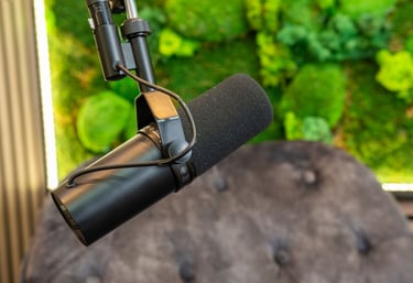 a microphone with a microphone and a microphone