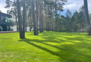 vejos įrengimas privačiame sklype su automatine laistymo sistema