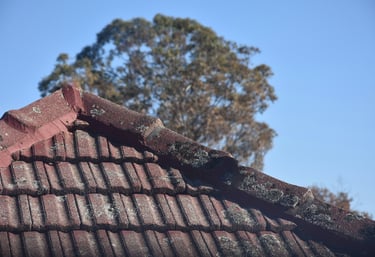 Aerial roof image showing tiles, chimney, and elevation overview