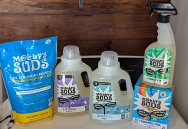 Low-toxin laundry products used for wash and fold service in Athens, AL including Molly’s Suds deter