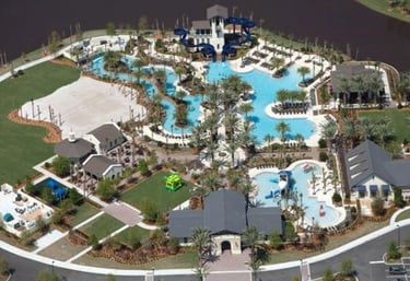 nocatee website design