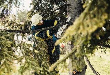 A firefighter in protective gear uses a chainsaw to cut a tree branch for emergency tree removal.
