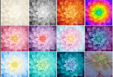 colorways