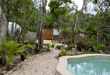 Un paraiso en la Selva Maya - Venamarte