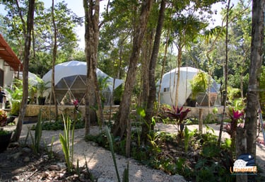 Glamping únicos en Venamarte