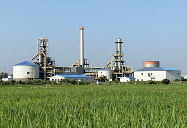A team discussing climate strategy around a table with charts and laptops.