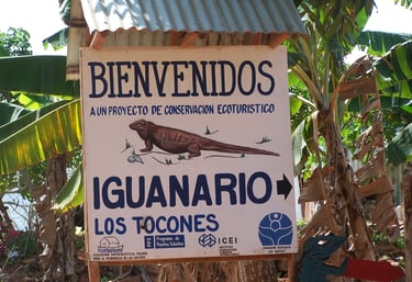 Welcome sign:drawn iguana center, "BIENVENIDOS" uppercase top;