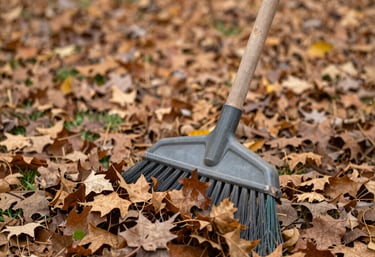 A tidy garden area with freshly raked leaves and trimmed bushes under a clear sky.