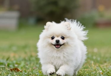 A vibrant home aquarium with colorful fish swimming among lush plants.