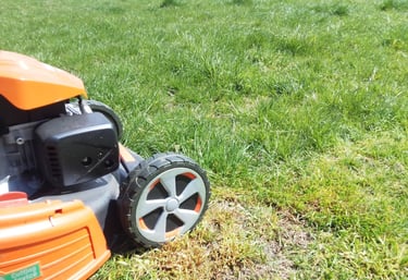 Косене на трева от Хеджи Уайлдър в Куртово Конаре — професионално окосена тревна площ с гладък, подр