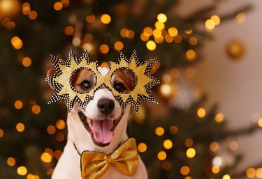 Perro con lentes de sol y moño