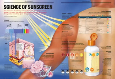 Science of sunscreen infographic explaining UV radiation protection, skin damage prevention, and SPF ratings.