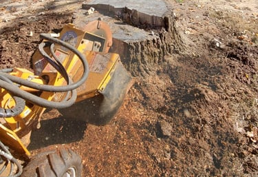 Stump No More Stump Grinding ready