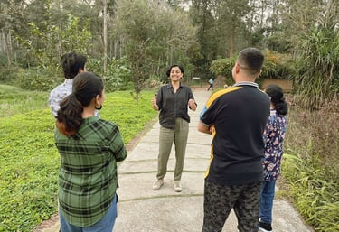 Premium experiential relationship retreats and workshops by Turtle Balance.