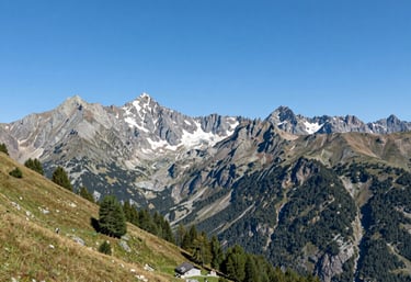 A group of diverse people hiking together on a sunlit forest trail, smiling and enjoying nature.