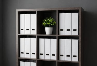Sleek, modern office shelving unit with organized white folders and a small green plant, set against a charcoal gray wall.