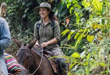 Horseback riding tours through the mountains of Veraguas, Panama.