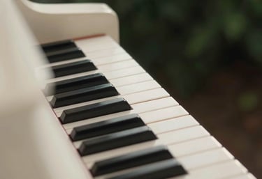 Clean, minimalist shot of ivory piano keys with soft morning light and a hint of dark forest green in the shadows.