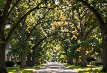 A view of a neighborhood street.with mature trees arching from both sides over the street