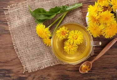 Löwenzahnwurzel-Extrakt