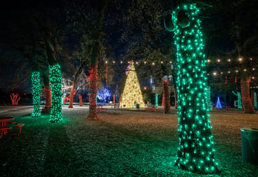 A large outdoor Christmas tree surrounded by trees wrapped in green and red holiday lights at night.