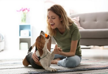 Vrouw speelt met hond naast een stille drinkfontein voor honden