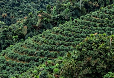 a man riding a skateboard down the side of a ramp