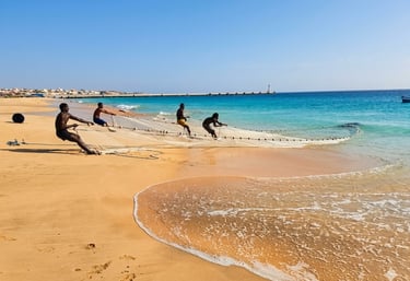 Um grupo de pescadores locais tira uma rede de pesca tradicional na praia dourada da Vila do Maio, C