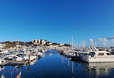 Torquay Marina with boats in azure blue water