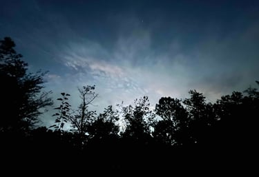 a night sky with a few clouds and trees