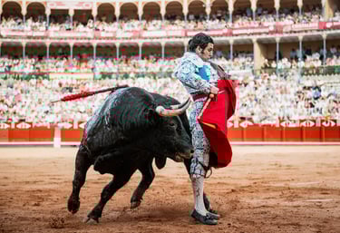 salamanca morante