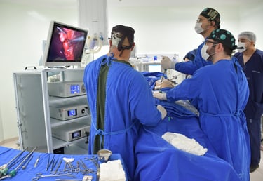 em cirurgia videolaparoscopica