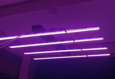 Customizable Spectrum Light