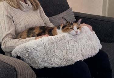 Calico cat enjoying connection in the Furr Lap, Pet Lap Bed