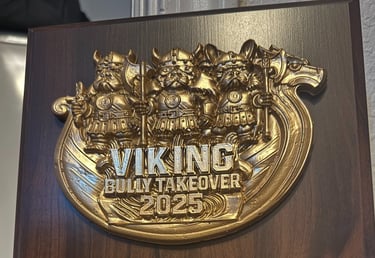 a custom award plaque for a viking themed bully show
