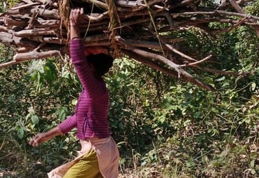 woman collecting wood in Thakurdwara