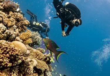 underwater navigation on a tropical reef