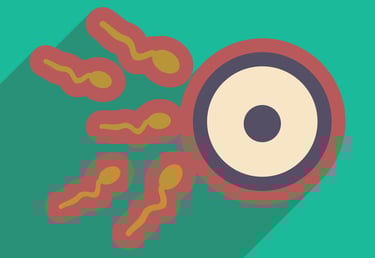 PESTICIDES SANTÉ HOMMES SPERMATOZOIDES