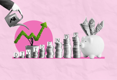 High Dividends payout Stocks 