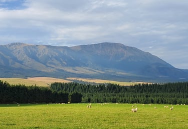 mt somers south face view