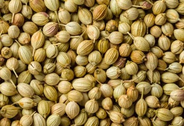 Coriander Seeds